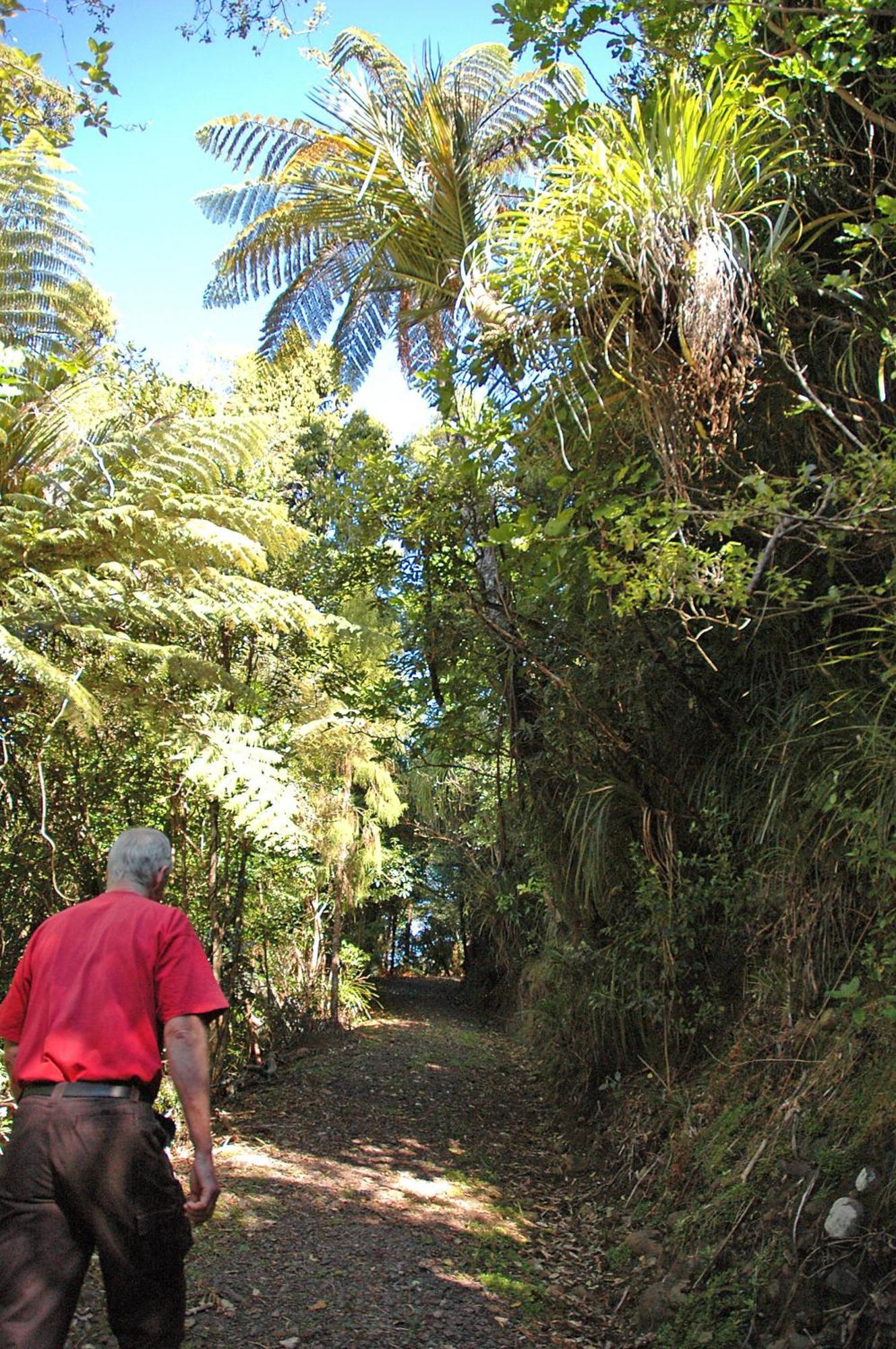 Waitakere Resort & Spa Окленд Экстерьер фото